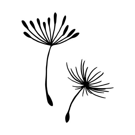 Share 77+ dandelion seed sketch best - seven.edu.vn