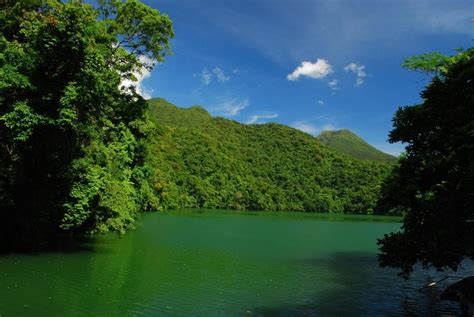 Bulusan Lake | Favorite places, Lake, Philippines