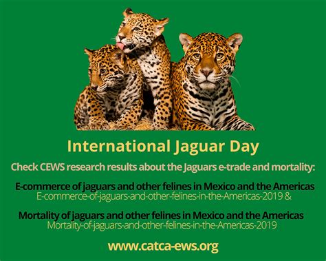 International Jaguar Day