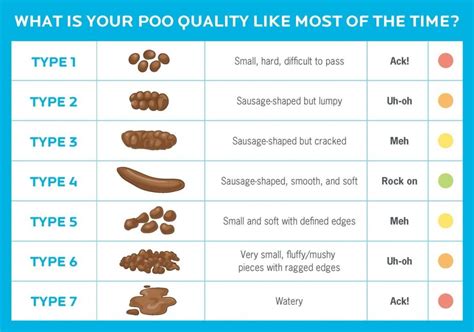 What your bowel habits say about your health? - Jean Jarrett Natural Health