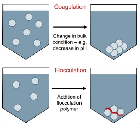 Coagulation and flocculation [28]. | Download Scientific Diagram