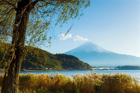 Premium Photo | Mt. fuji and lake