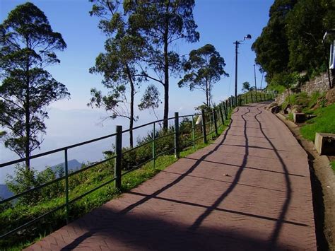 8 Best Tourist Attractions To Visit If You Are Visiting Kodaikanal