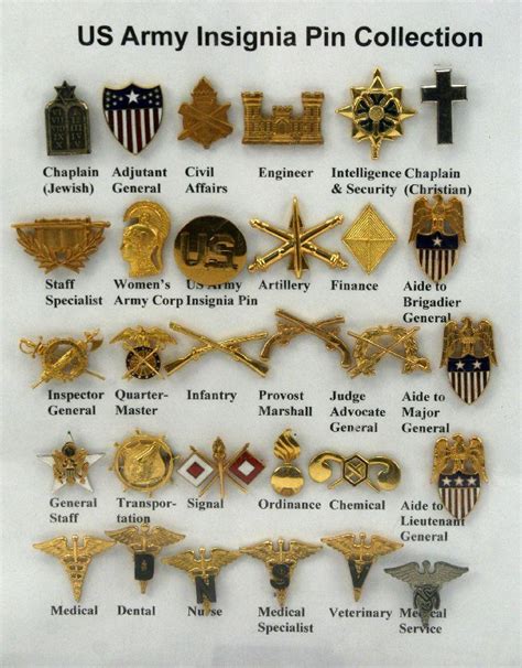 US ARMY INSIGNIA PIN COLLECTION & MEDALS