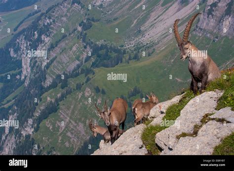 Mountain climbing group hi-res stock photography and images - Alamy