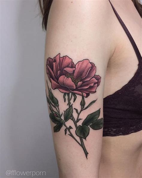 Wild rose🌺 #tattoo #tattoos #plants #flowers #botanical # ...