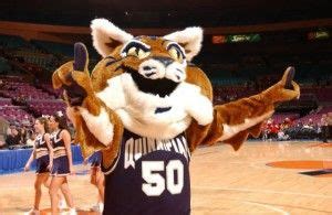 Quinnipiac Bobcats mascot, Boomer the Bobcat. | College Mascots: Metro Atlantic | Pinterest