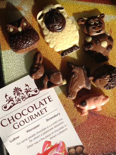 FOODSTUFF FINDS: Cute Chocolate Animals - Chocolate Gourmet Shrewsbury (by @NLi10)