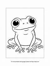 Sapo Desenho Para Colorir sketch template