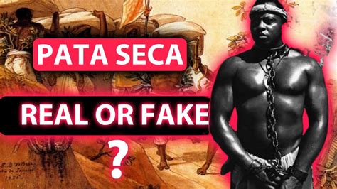 Pata Seca: The Story Of A Slave Breeder | REAL Or FAKE ? - YouTube