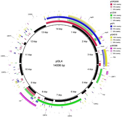 Plasmid Map | Gadgets 2018