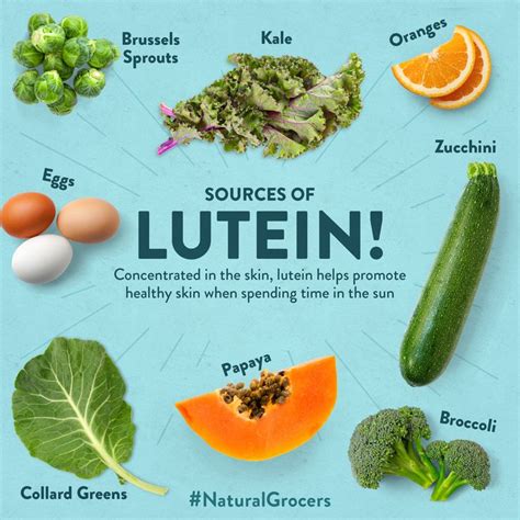 Sources of Lutein | Anti oxidant foods, Lutein, Nutrient dense food