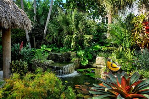 Jones Residence - Tropical - Landscape - Miami - by Craig Reynolds Landscape Architecture | Houzz