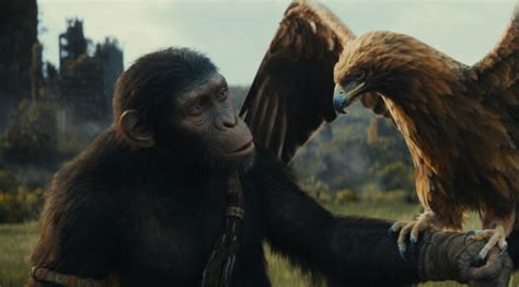 5120x2520 Resolution 2023 Movie Kingdom of the Planet of the Apes ...