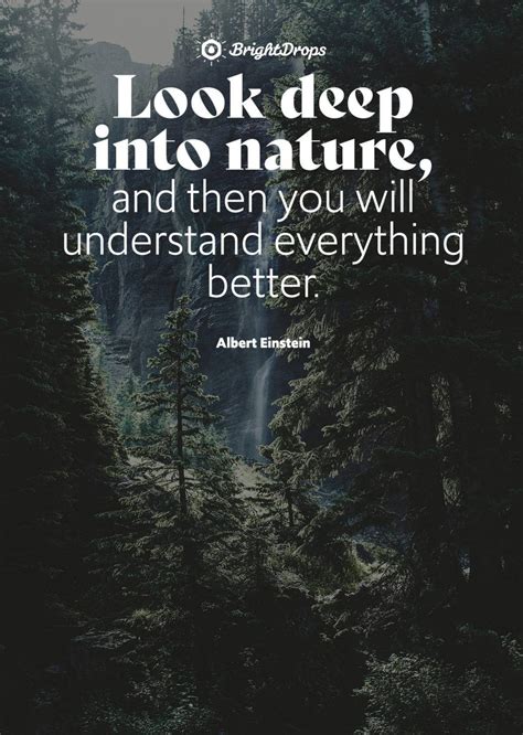 105 Inspirational Nature Quotes on Life & Its Natural Beauty