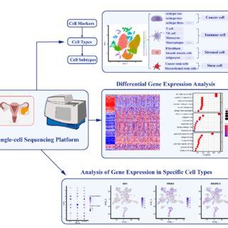 Summary of single-cell sequencing technologies and platforms. | Download Scientific Diagram