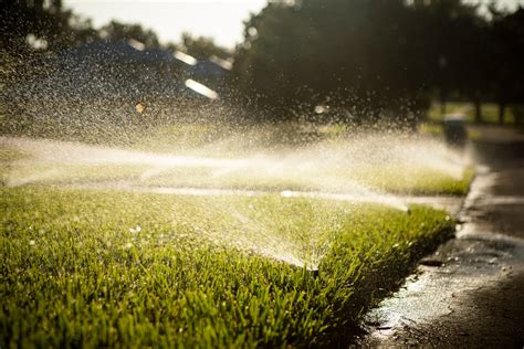 6 Tips for Maintaining New St. Augustine Sod in Your Florida Lawn