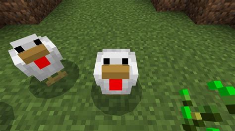 Chicken Minecraft