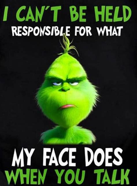 you think the Grinch accepts blame ? | Grinch quotes, Funny quotes, Grinch