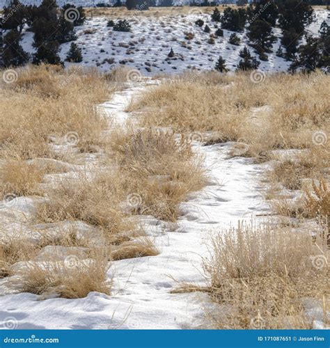 Square Snow Covered Trails on Grassy Terrain Overlooking Scenic Snowy Hill Landscape Stock Image ...