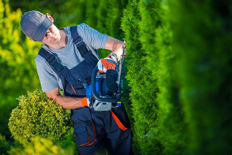 Des jardiniers professionnels