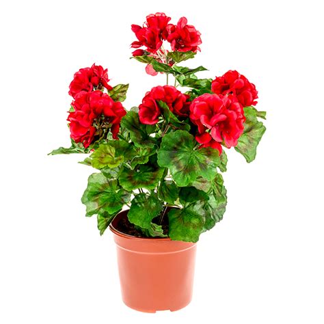 Artificial red geranium | Potted artificial geranium | Shelf Edge UK