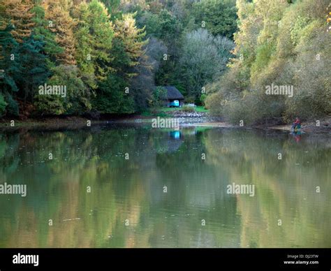 Ardingly Reservoir in the autumn Stock Photo - Alamy