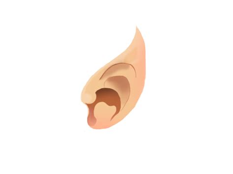 Nose - elf ears png download - 666*499 - Free Transparent Nose png ...