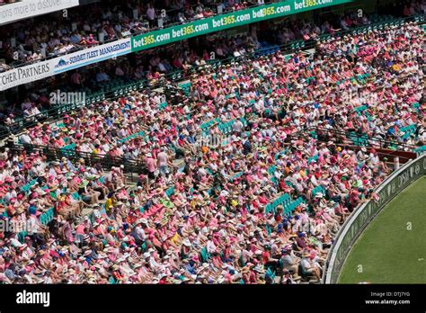 pink day at the sydney cricket ground during the 5th ashes test in ...