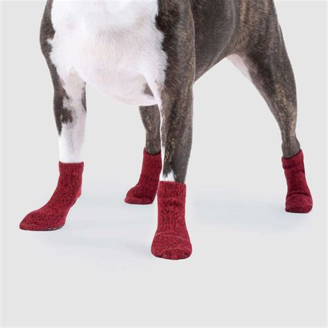 Dog Socks With Grips | Canada Pooch