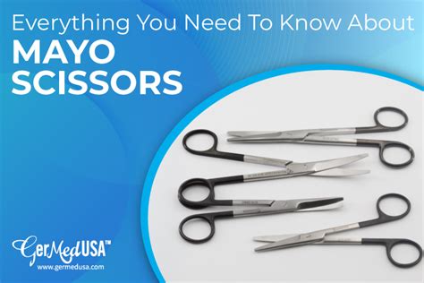 Everything You Need To Know About Mayo Scissors