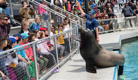 Aquatheater - New York Aquarium