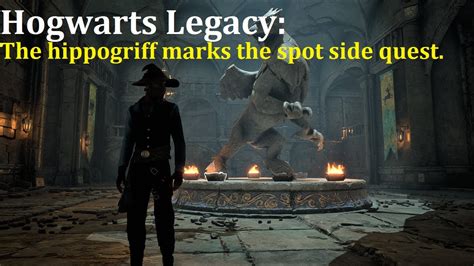 The hippogriff marks the spot side quest guide. (Hogwarts legacy) - YouTube