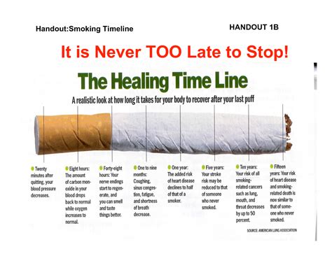 Facts You Need To Know All About Smoking « Stop & Quit Smoking!