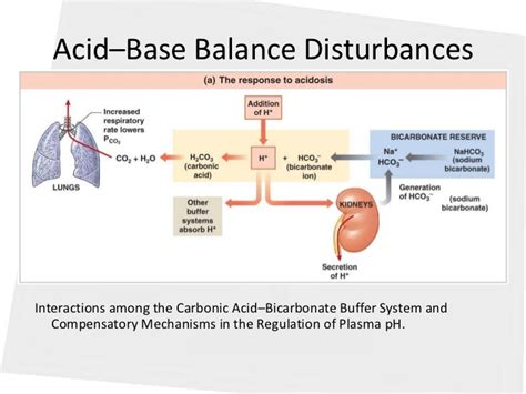 Acid base balance