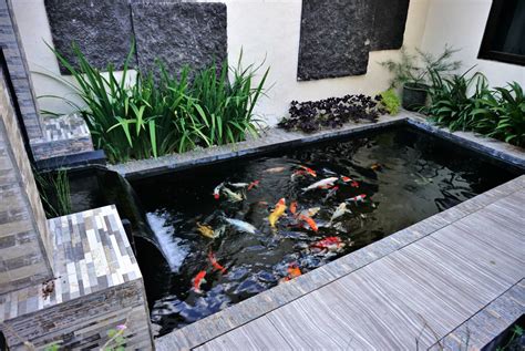 8 steps to make a DIY pond filter at home | Airtasker AU