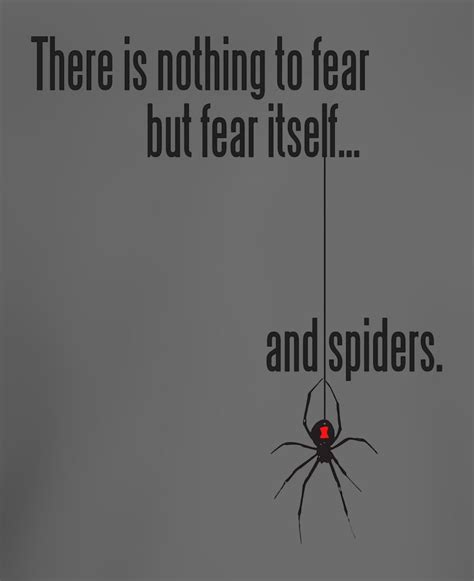 Funny Pictures And Quotes About Fear Of Spiders. QuotesGram