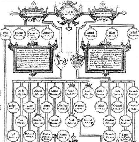 Mystical: Biblical family tree