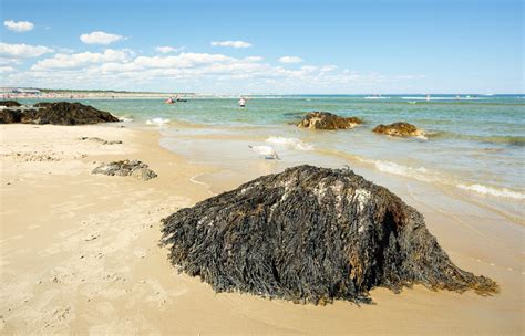 Ogunquit-Beach-on-a-Sunny-Afternoon-Ogunquit-Maine-USA.-Ogunquit-was-named-by-the-Abenaki-tribe ...