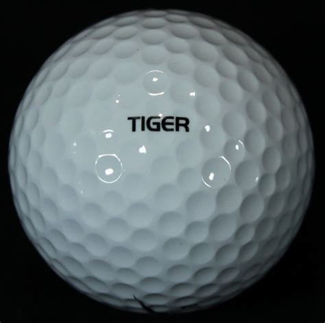 Tiger Woods 2000 82nd PGA Champion 18 Under Collector Series Golf Balls ...