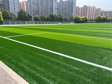 Maintenance Guide for Artificial Turf on Soccer Fields in Wet Regions