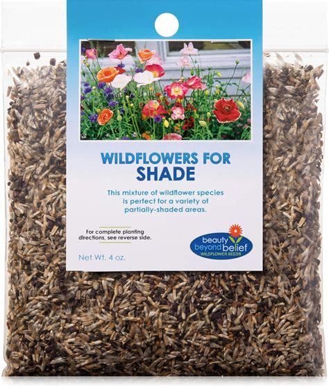 Amazon.com : Partial Shade Wildflower Seeds Bulk - Open-Pollinated Wildflower Seed Mix Packet ...