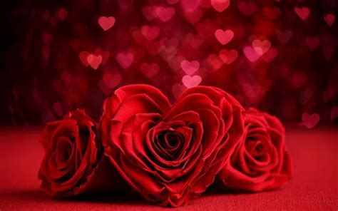 Download wallpapers Valentines Day, roses, hearts, 4k, bokeh, flowers heart besthqwallpapers.com ...