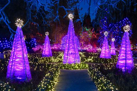 VanDusen Festival of Lights 2023 | Vancouver | Vancouver Christmas Guide