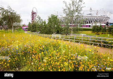 Native river stratford hi-res stock photography and images - Alamy