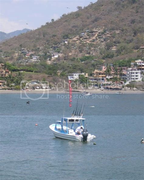 Zihuatanejo-Ixtapa Message Board - Some questions on choosing a fishing ...