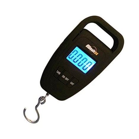 10 Best Fishing Scales Reviewed & Rated in 2024 | TheGearHunt