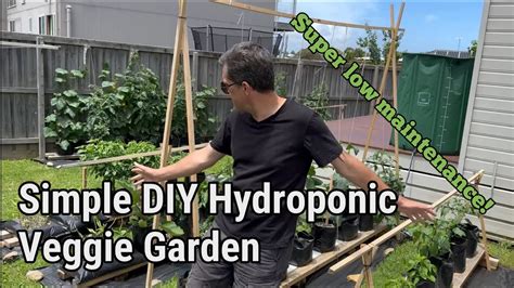 Easy diy hydroponic vegetable garden inspired by @Hoocho - YouTube