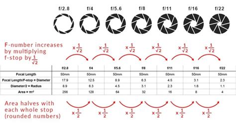 What Is F Stop In Photography? A Beginner's Guide To Understanding F-Stops - IPhoto Walks