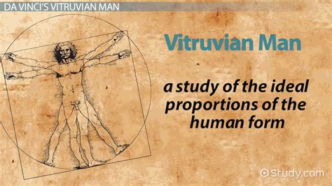 Vitruvian Man by Leonardo Da Vinci | Overview & Legacy - Lesson | Study.com